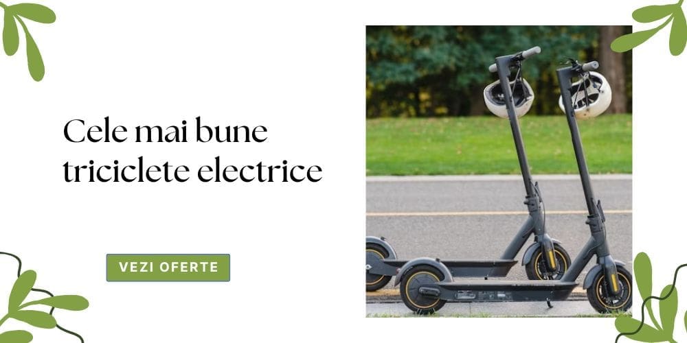 trotinete electrice pentru adulti