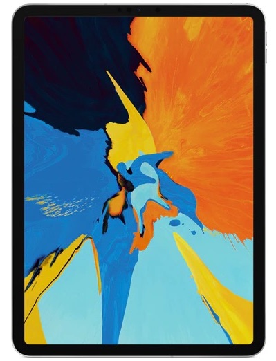 Apple iPad Pro 1 11.0" (2018) 1st Gen Wifi 64 GB Space Gray Ca nou